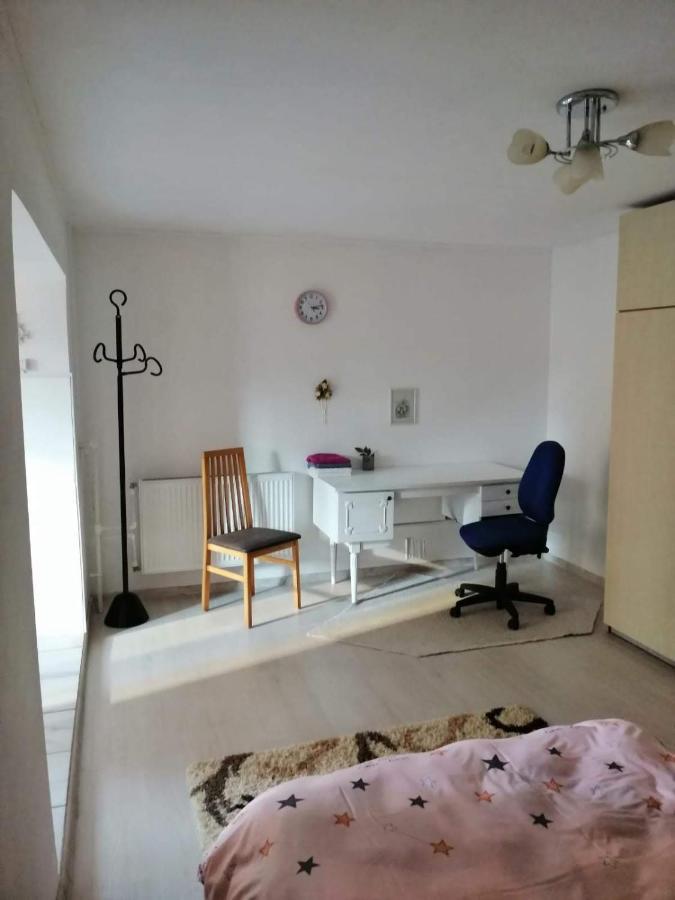 טימישוארה Moss'S Economy Apartment מראה חיצוני תמונה