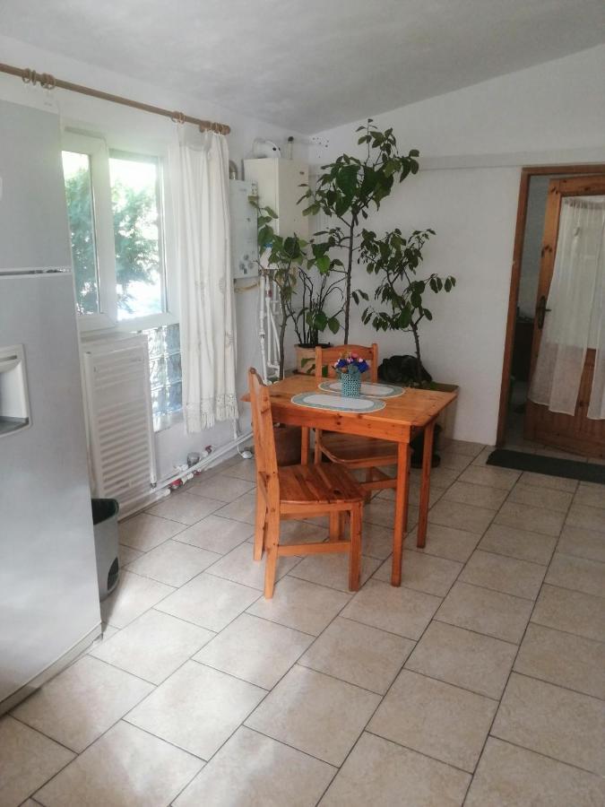 טימישוארה Moss'S Economy Apartment מראה חיצוני תמונה