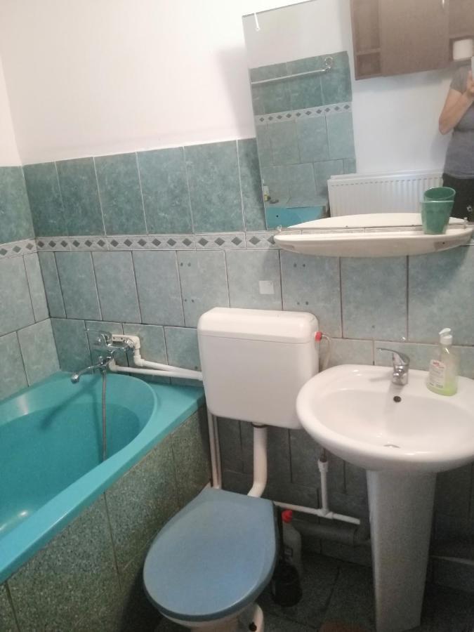 טימישוארה Moss'S Economy Apartment מראה חיצוני תמונה